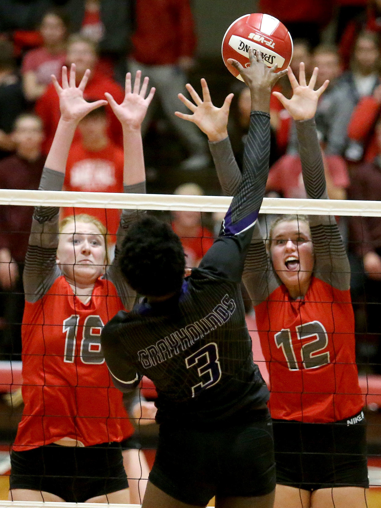 110419-qct-spt-ns-vball-005